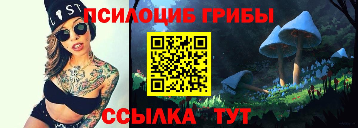 Галлюциногенные грибы MAGIC MUSHROOMS  Псилоцибиновые грибы Psilocybe  Кушва  Вход с VPN 